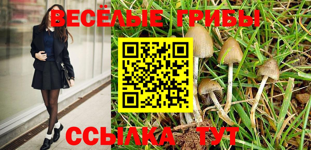 Галлюциногенные грибы Psilocybe  Галлюциногенные грибы Cubensis  Клинцы  Вход с VPN 