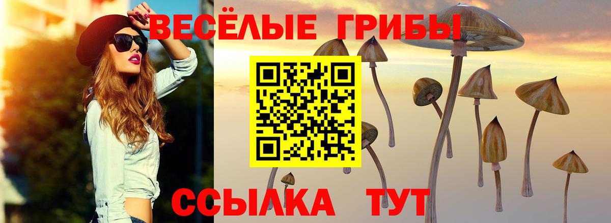 Галлюциногенные грибы Magic Shrooms Клинцы
